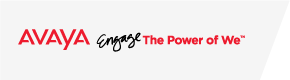 Avaya The Power of We
